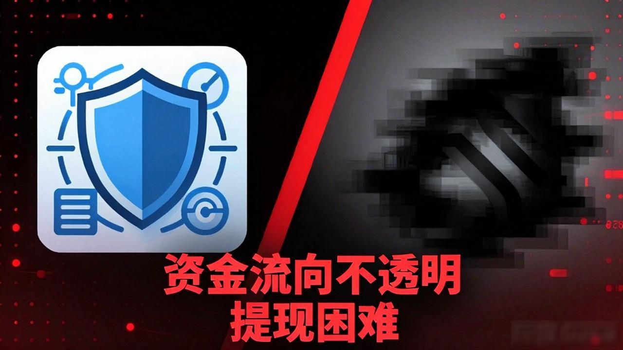 摩根数字 金融监管 虚假宣传_摩根数字区块链好吗